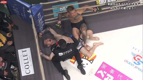 スクリーンショット (3568)