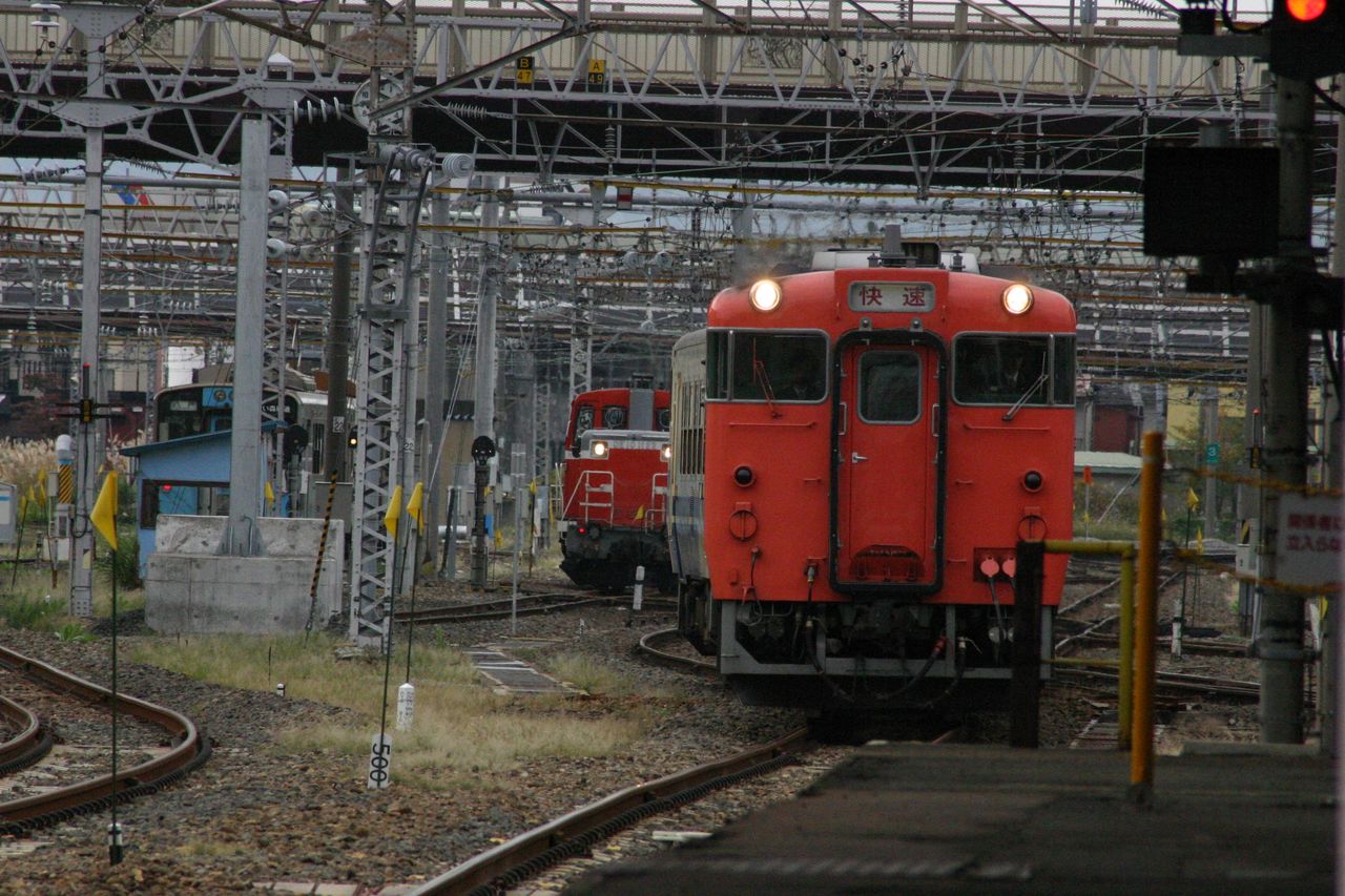 04d28fc6.jpg