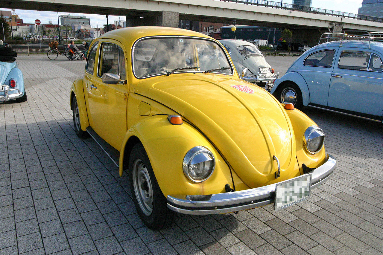 16f60452.jpg