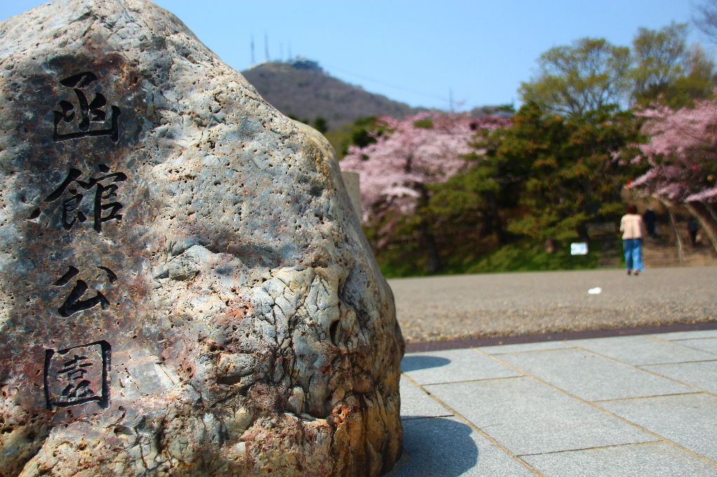 イメージ 35