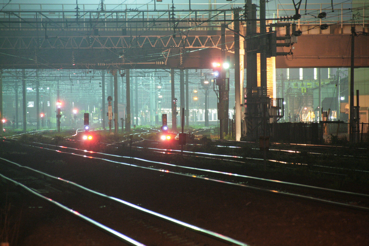 49f20d1d.jpg