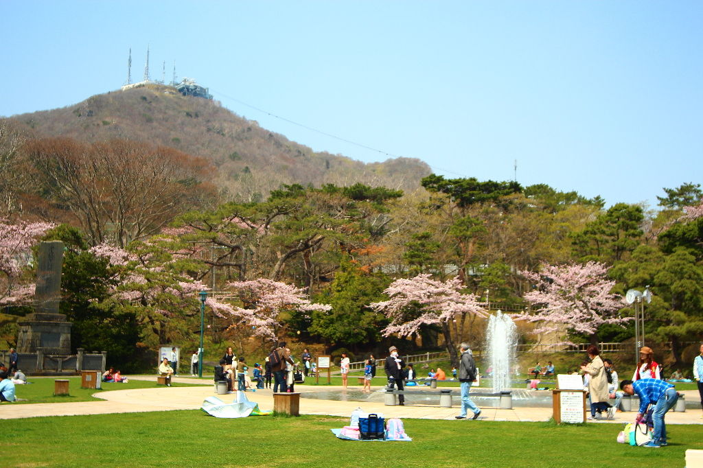 イメージ 9