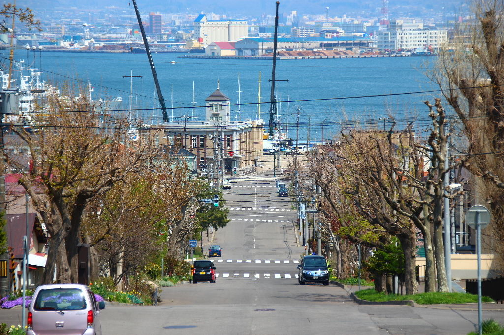 イメージ 36