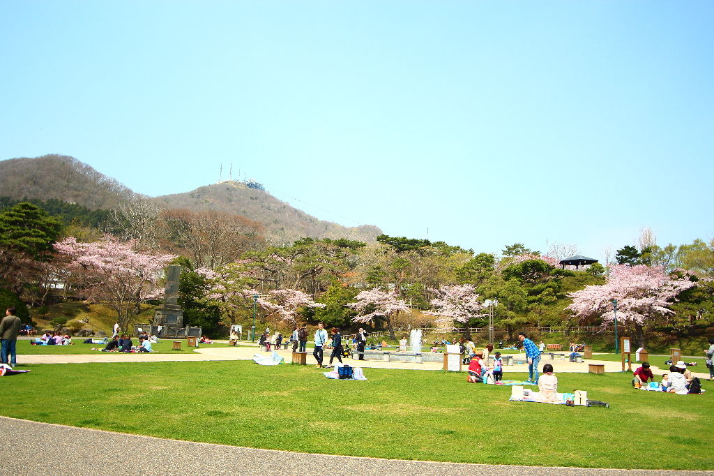 イメージ 10
