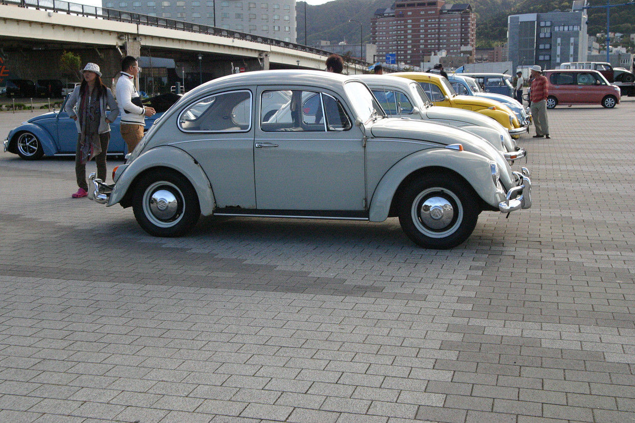 f37e6945.jpg