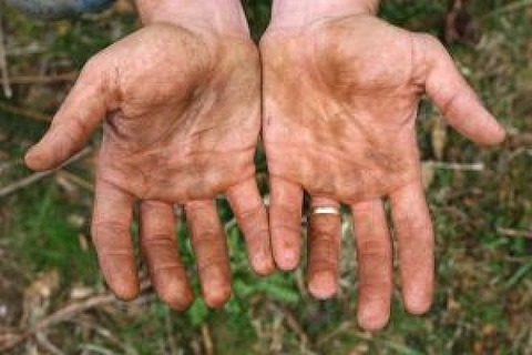 dirty-hands-1_2494329