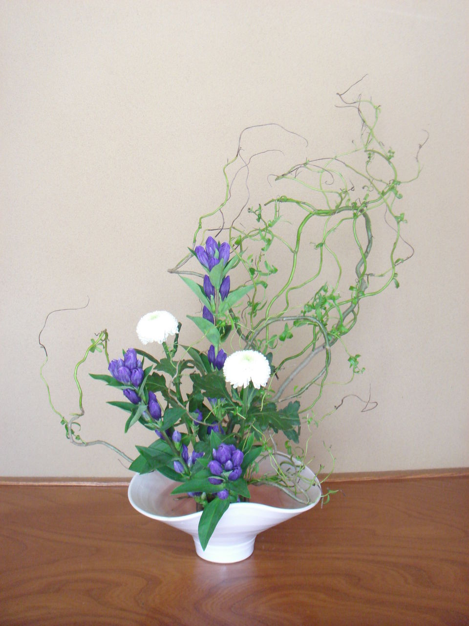 雲竜柳を丸める いけばな日記