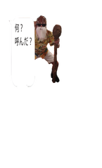 亀
