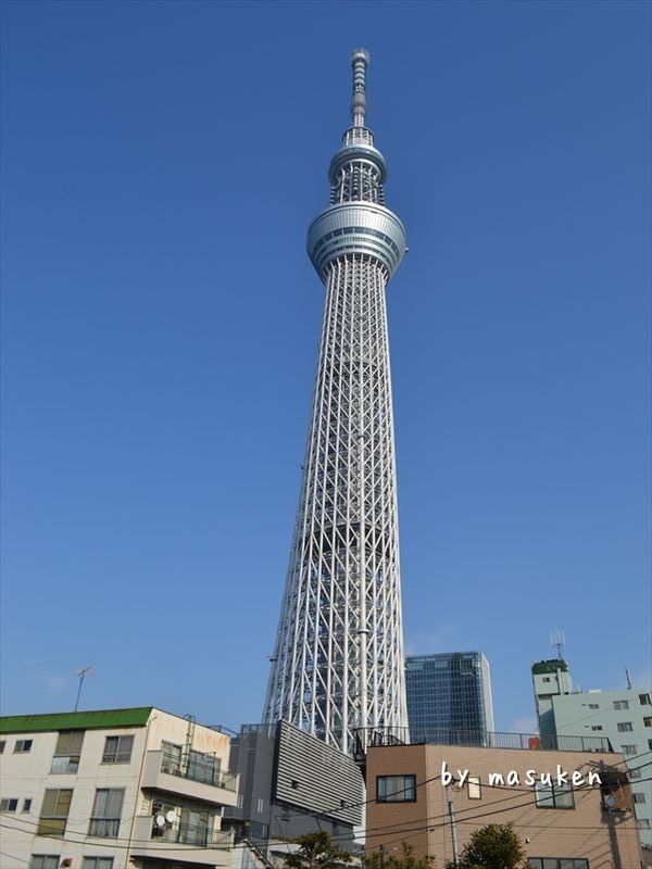 東京 押上 さくらcafe スカイツリーパフェ 安い 美味い 池袋ランチガイド 池袋以外も 笑