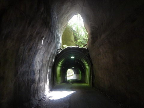 DSCN6328