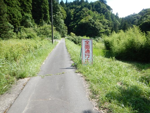 DSCN6331