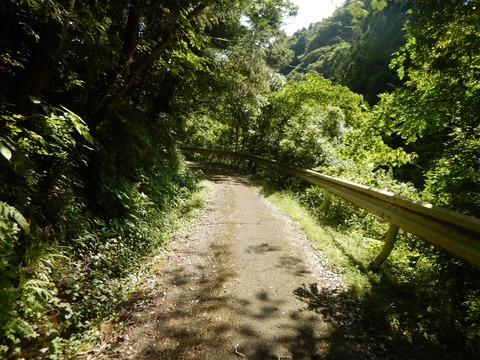 DSCN6332