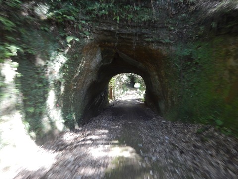 DSCN6333