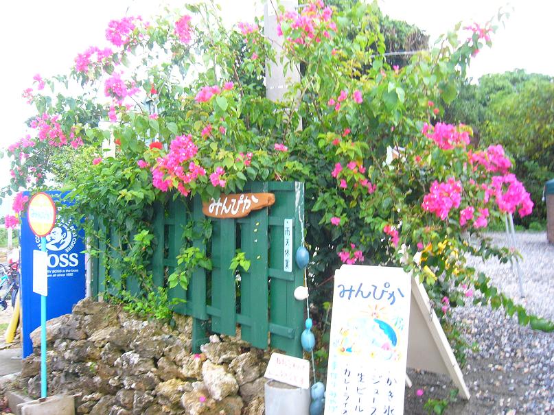 波照間散策 いはちのcp ちゃらんぽらん 倶楽部