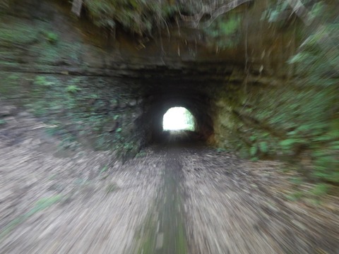 DSCN6335