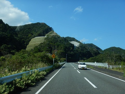 DSCN5387