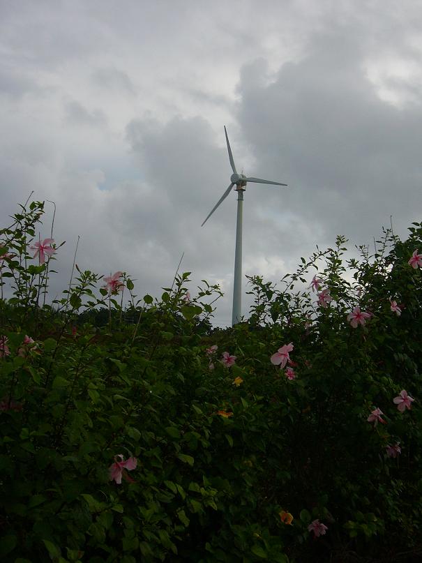 波照間散策 いはちのcp ちゃらんぽらん 倶楽部