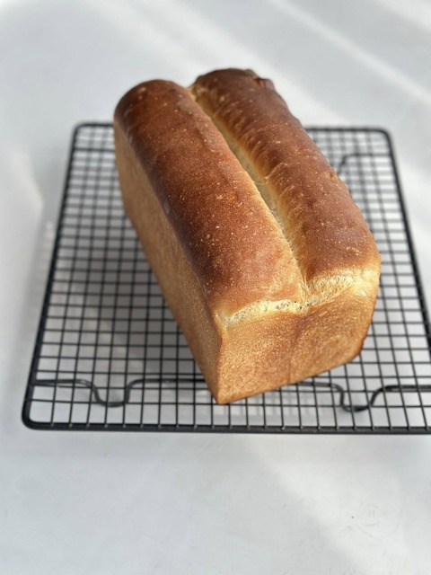 532021305_24588371157461168_1294893998114120844_n