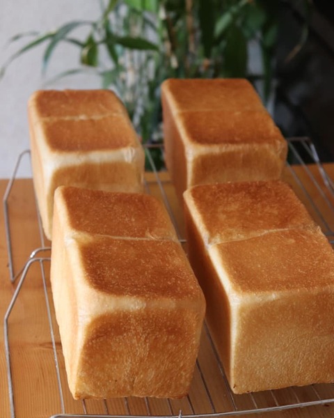 食パン