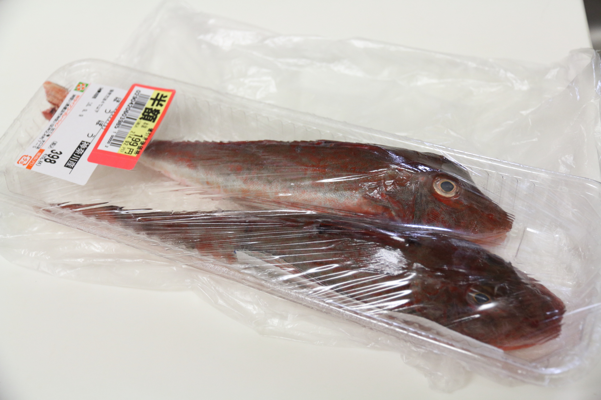 ホウボウは美味しい とりあえず Blog ホウボウは美味しい とりあえず Blog