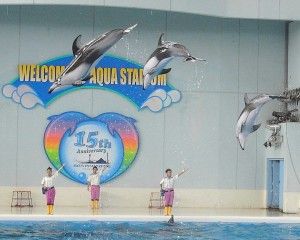 20080818_153046_0.jpg 20080818_153046_0.jpg