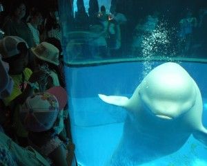 20080818_141857_0.jpg 20080818_141857_0.jpg