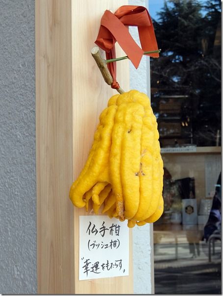 DSCF1087