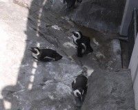 20080818_124001_0.jpg 20080818_124001_0.jpg