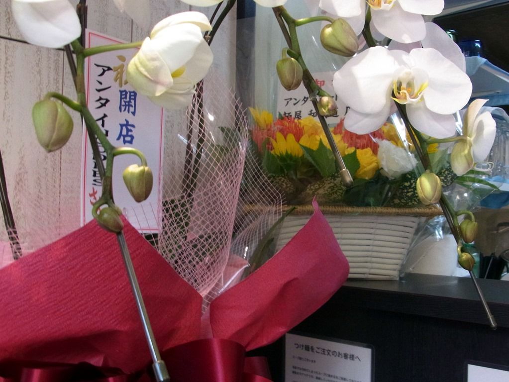 R0040351 R0040351