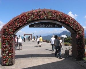 20080909_112624_0.jpg 20080909_112624_0.jpg