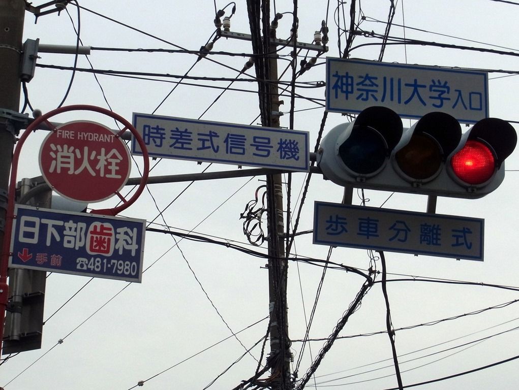 R0024667 R0024667