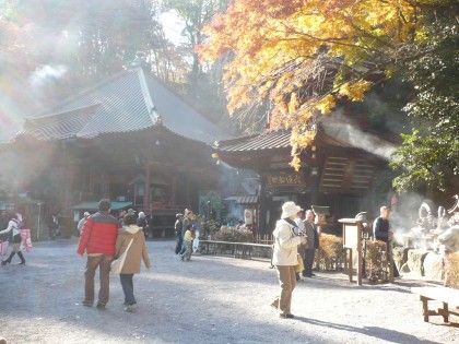 P1070878.JPG P1070878.JPG