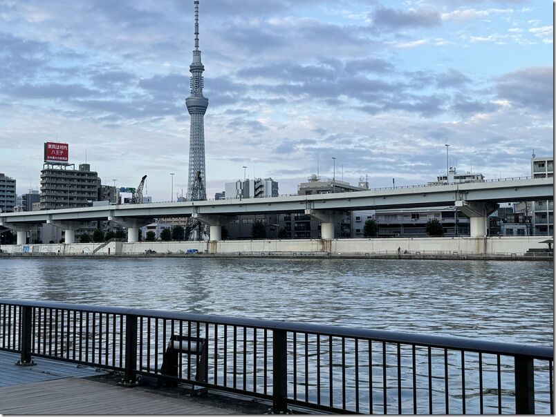 IMG_5950 IMG_5950