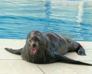 20080818_150553_0.jpg 20080818_150553_0.jpg