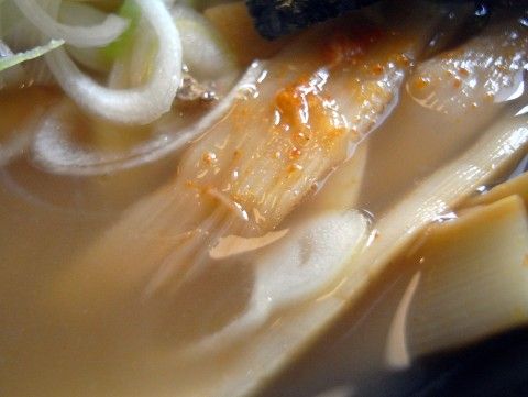 R1101636.JPG R1101636.JPG