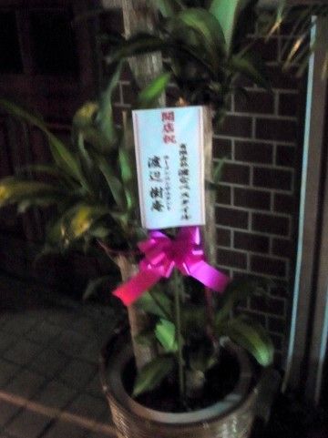 RIMG0056.JPG RIMG0056.JPG