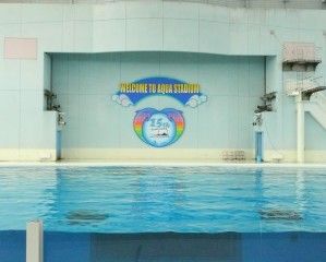 20080818_144431_0.jpg 20080818_144431_0.jpg