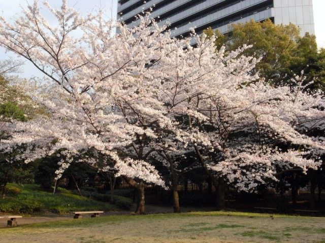 R0012462.JPG R0012462.JPG