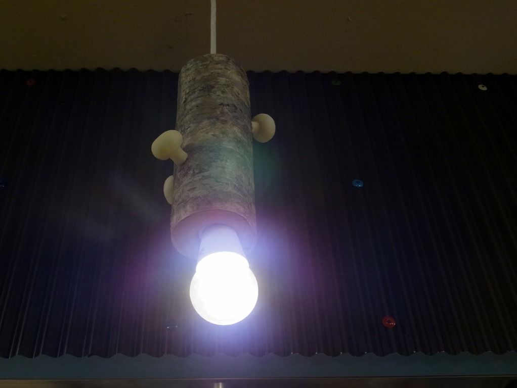 R0020522 R0020522