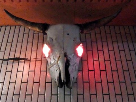 RIMG0799.JPG RIMG0799.JPG