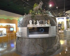 20080908_123641_0.jpg 20080908_123641_0.jpg