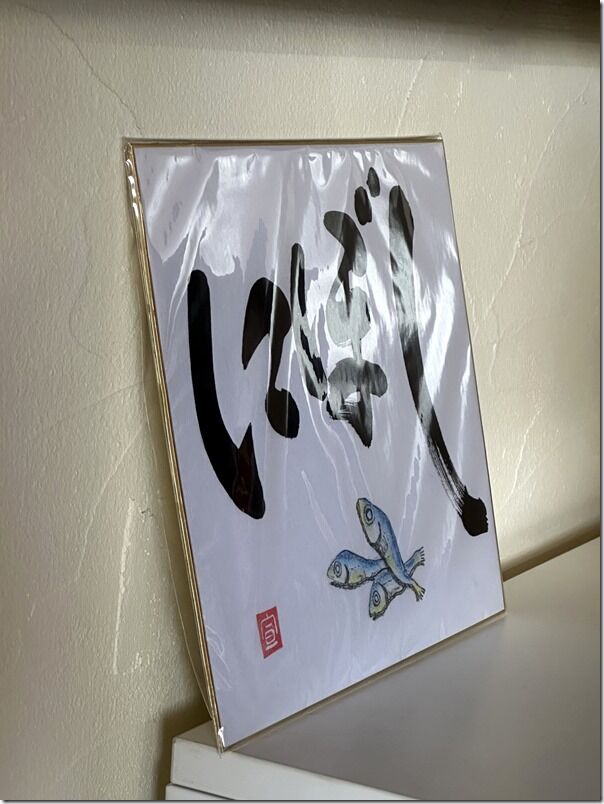 IMG_2647 IMG_2647