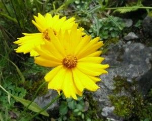 20080909_122351_0.jpg 20080909_122351_0.jpg