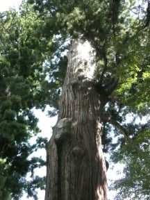 20080909_110030_0.jpg 20080909_110030_0.jpg