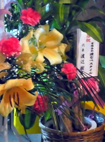 RIMG0794.JPG RIMG0794.JPG