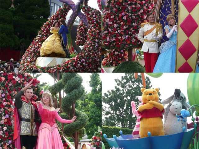 TDL13.jpg TDL13.jpg