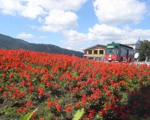 20080909_124735_0.jpg 20080909_124735_0.jpg