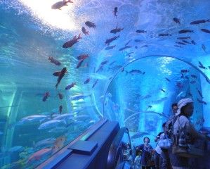20080818_160748_0.jpg 20080818_160748_0.jpg