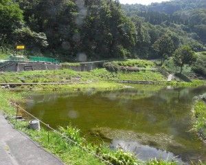 20080909_113600_0.jpg 20080909_113600_0.jpg