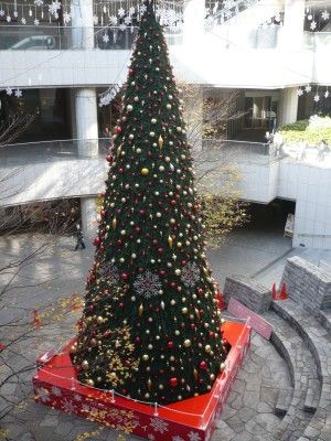 P1070476.JPG P1070476.JPG